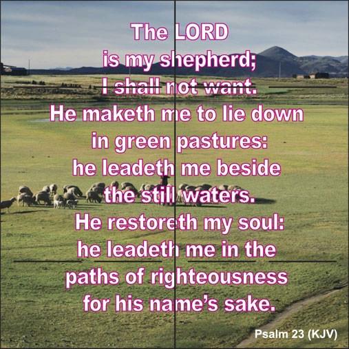 Psalm 23 KJV 24 per pack