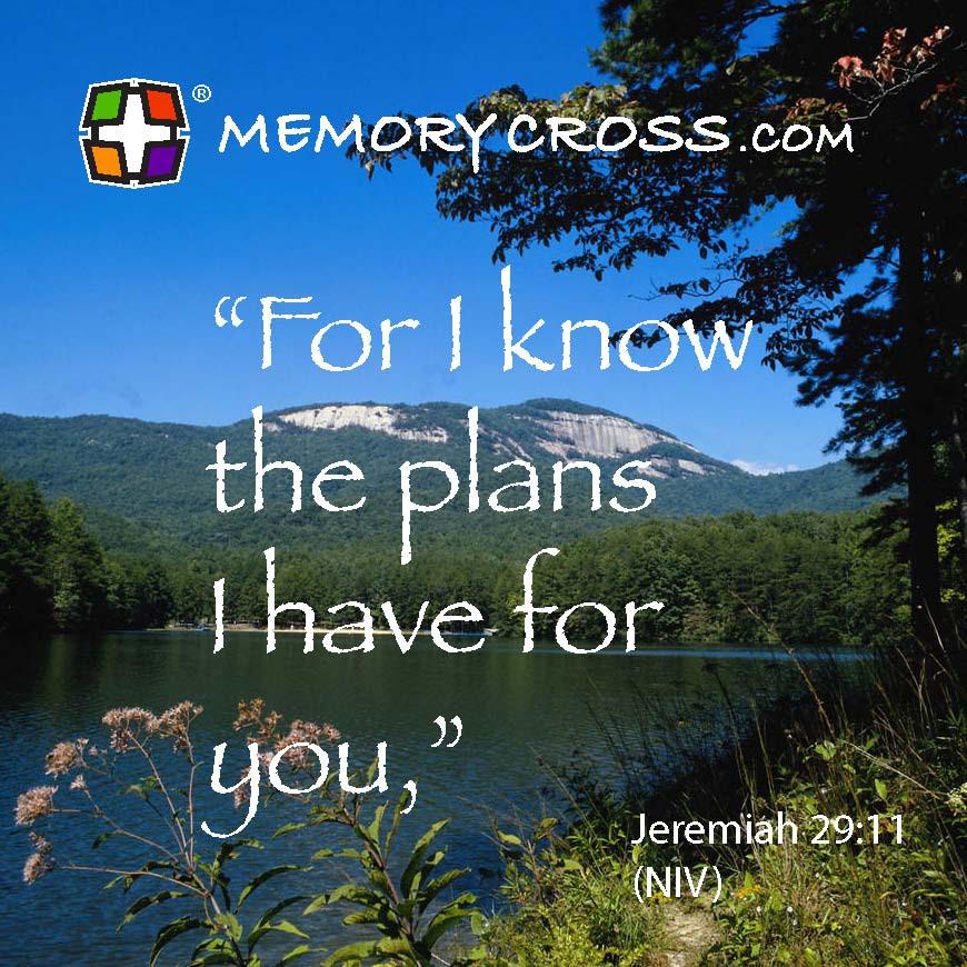 Jeremiah 29:11 24 to a pack size: 3 3/8 x 3 3/8