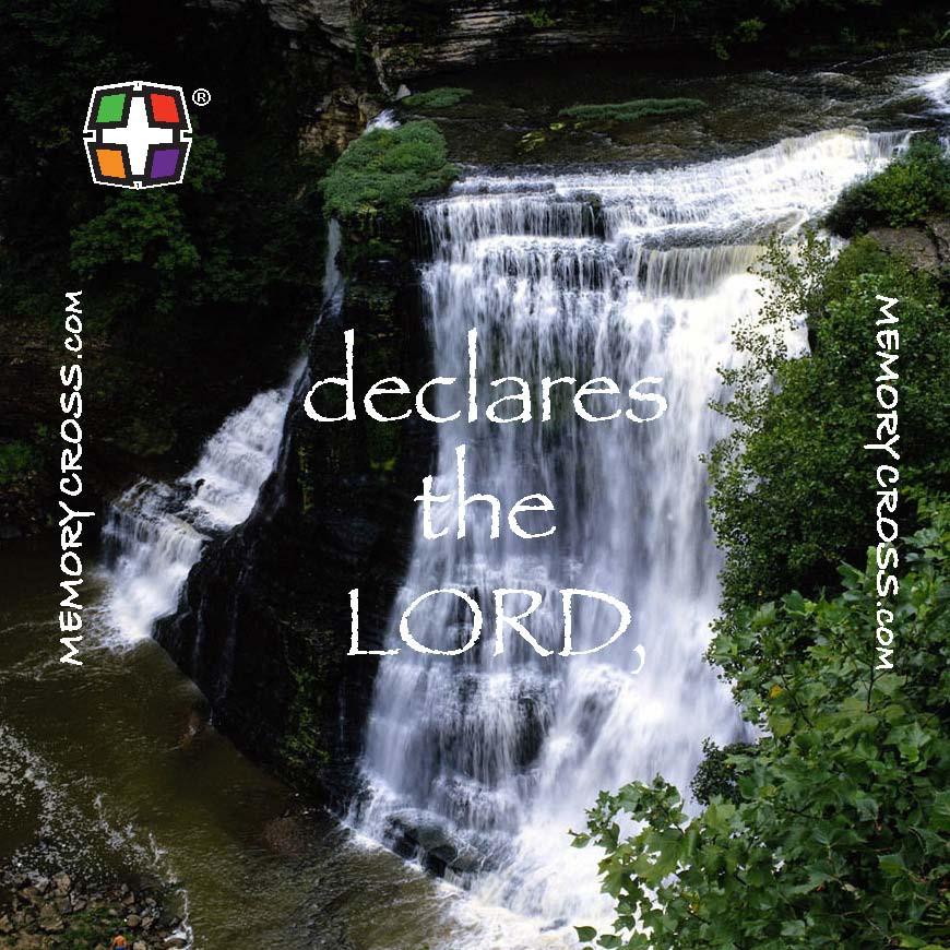 Jeremiah 29:11 24 to a pack size: 3 3/8 x 3 3/8