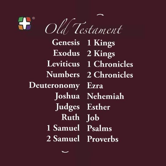 Books of the Bible Protestant version size: 3 3/8 x 3 3/8 24/pack