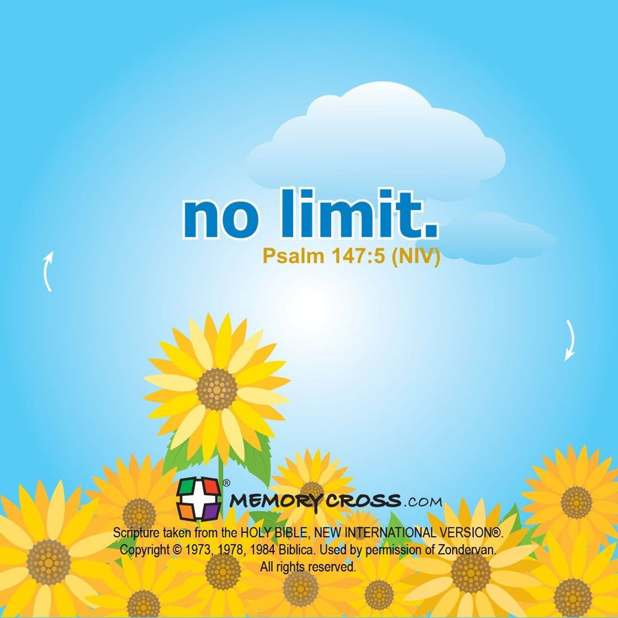 Psalm 147:5 - 24 to a pack size: 3 3/8 x 3 3/8