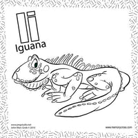Thumbnail for ABC Doodle Cards - Teaching Children Their ABCs. Size: 6 x 6
