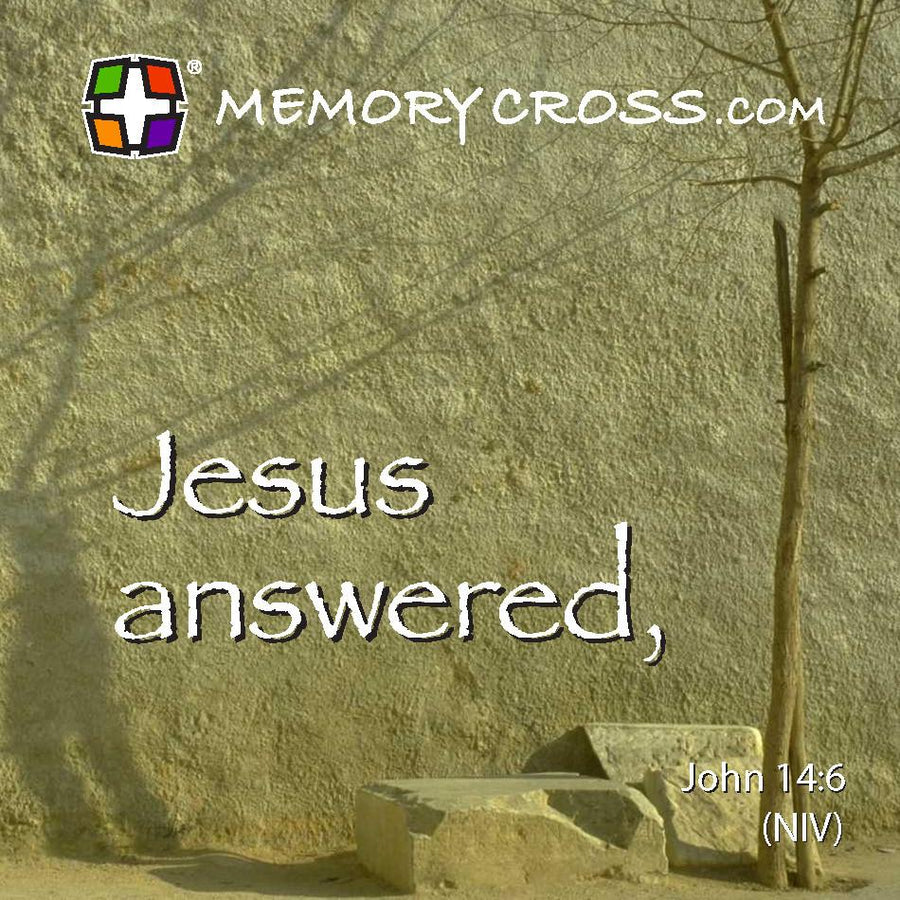 Scripture Memorization Pack #1 - 12 different cards to a pack