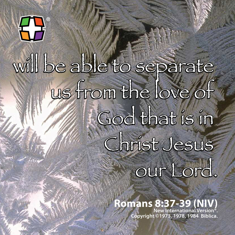 Bible Verses from the Book of Romans
