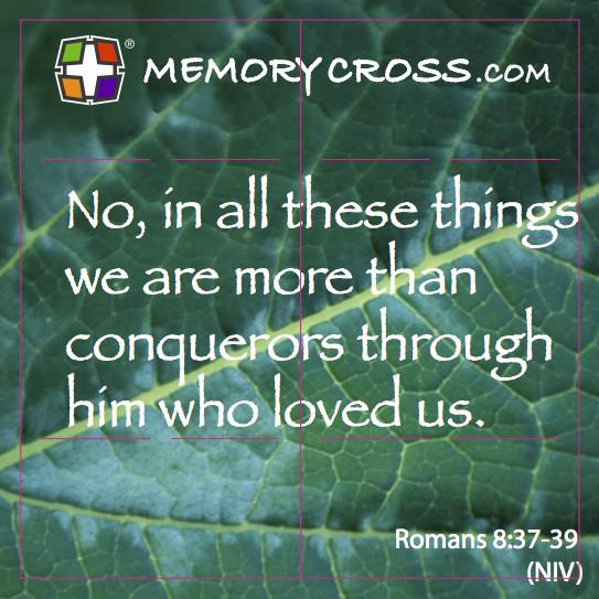 Multi Card Scripture Memory Pack 12 cards per pack