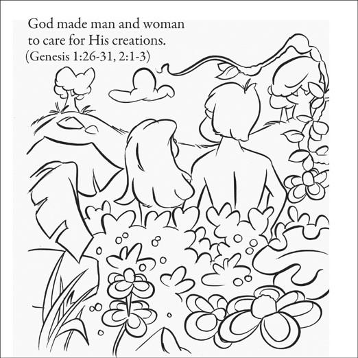 Creation Story Including Adam and Eve - 12/Pk Size: 6 x 6